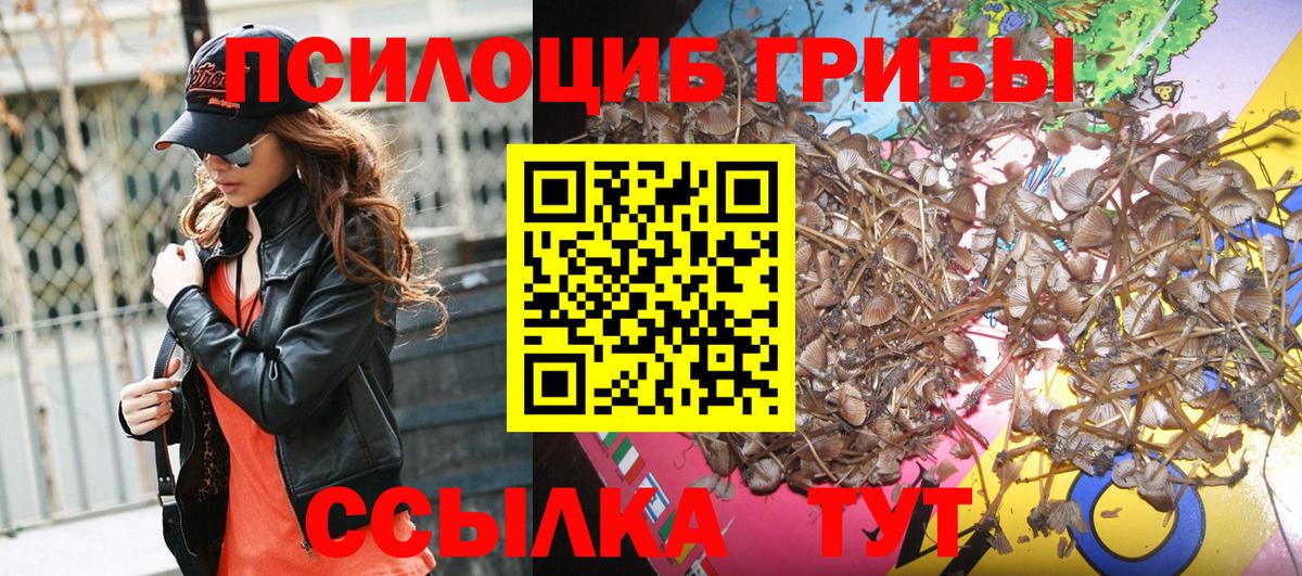 Псилоцибиновые грибы GOLDEN TEACHER Ржев