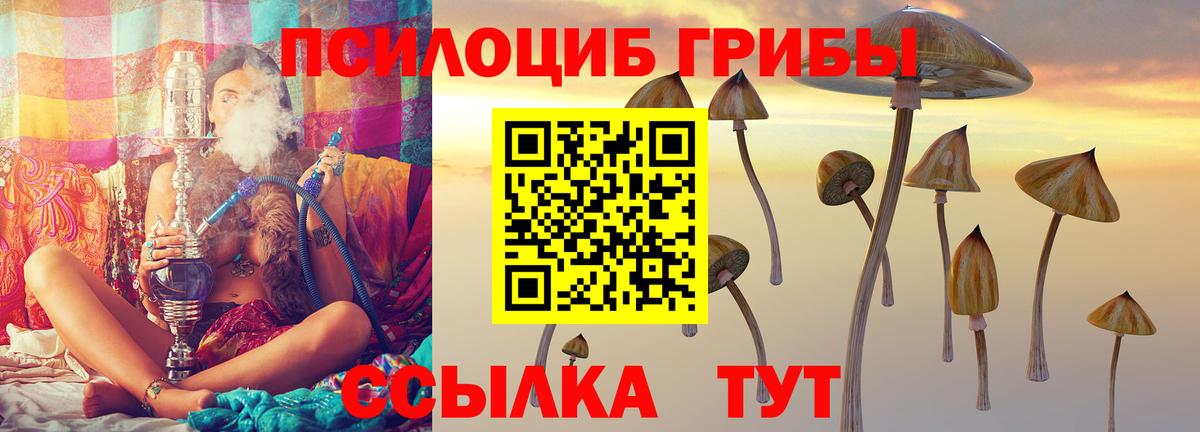 Псилоцибиновые грибы MAGIC MUSHROOMS  наркота  Ржев  Вход с VPN 